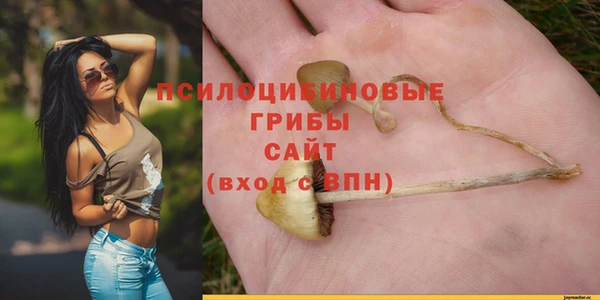 a pvp Белокуриха