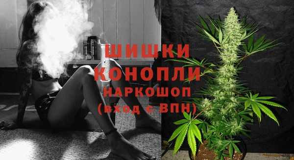 a pvp Белокуриха