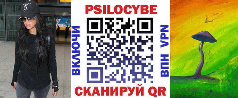 закладка  Городовиковск  MEGA ссылка  Псилоцибиновые грибы Cubensis 