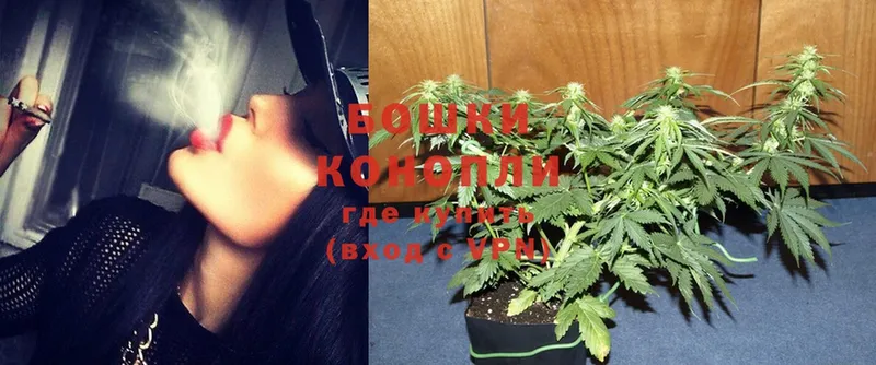 купить наркотики сайты  omg   Каннабис Ganja  Городовиковск 